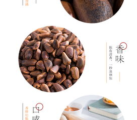 新昊森林松籽 黑龙江特产的天然馈赠