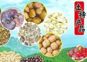 2018年陕西供销·合阳年货大展销 品味农副土特，喜迎新春佳节